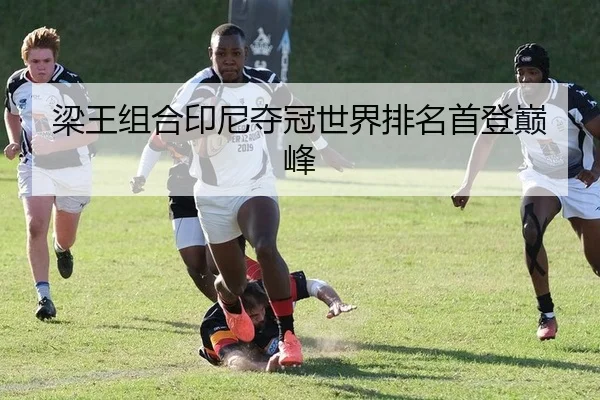 梁王组合印尼夺冠世界排名首登巅峰