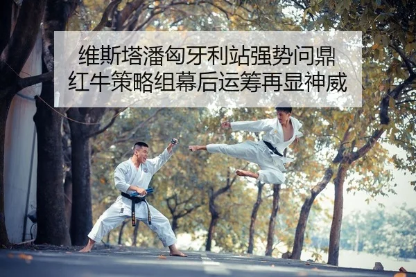 维斯塔潘匈牙利站强势问鼎 红牛策略组幕后运筹再显神威